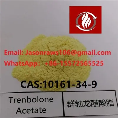 Trenbolon-acetát por testépítéshez CAS:10161-34-9